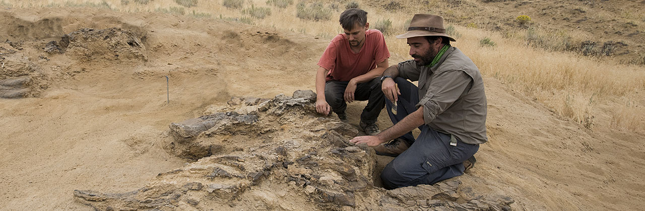 Mestrado em Paleontologia