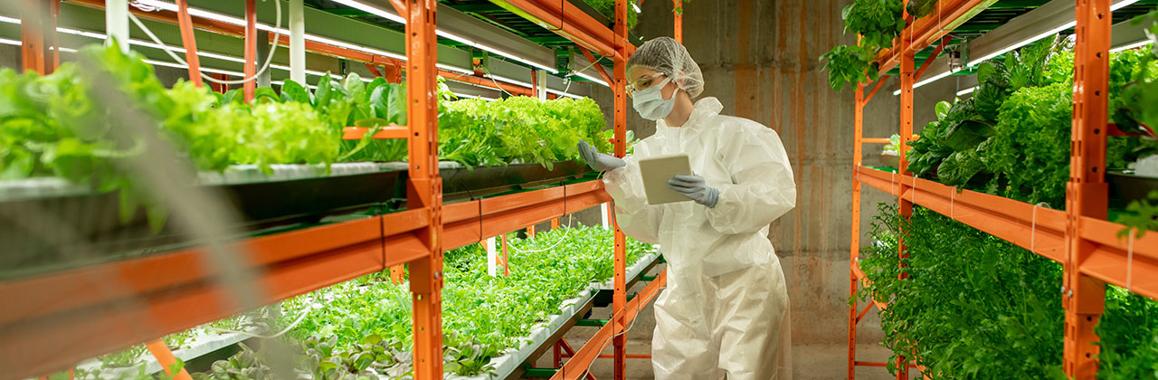 Mestrado em Fitotecnologia Nutricional para a Saúde Humana