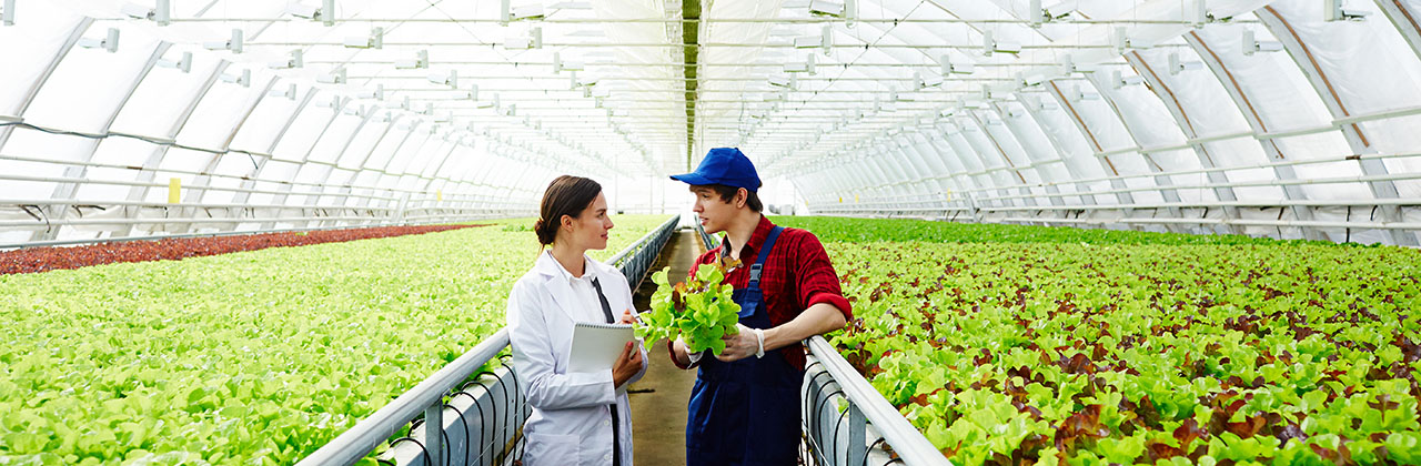 Diploma de Estudos Pós-Graduados em Tecnologias de Sistemas Alimentares e Recurs